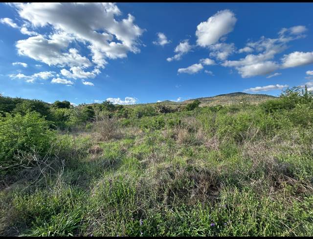 FARM FOR SALE IN SCHURVEBERG AH